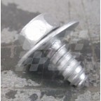 Image for SCREW AND WASHER RV8