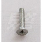 Image for Stainless Steel screw 1/4 INCH UNF X 1 1/4 INCH CSK POZ