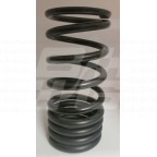 Image for Rear spring ZT R75 V8 saloon