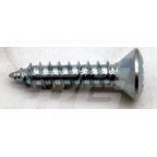 Image for CHROME HEADLAMP RIM SCREW