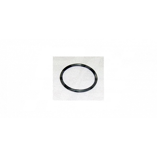 Image for O RING SEALING -  LOWER