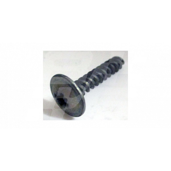 Image for SCREW RV8